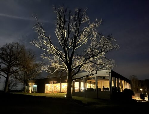 Vi puttar ut 2025…