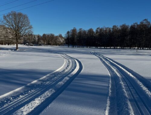 Det blev en skidhelg i November